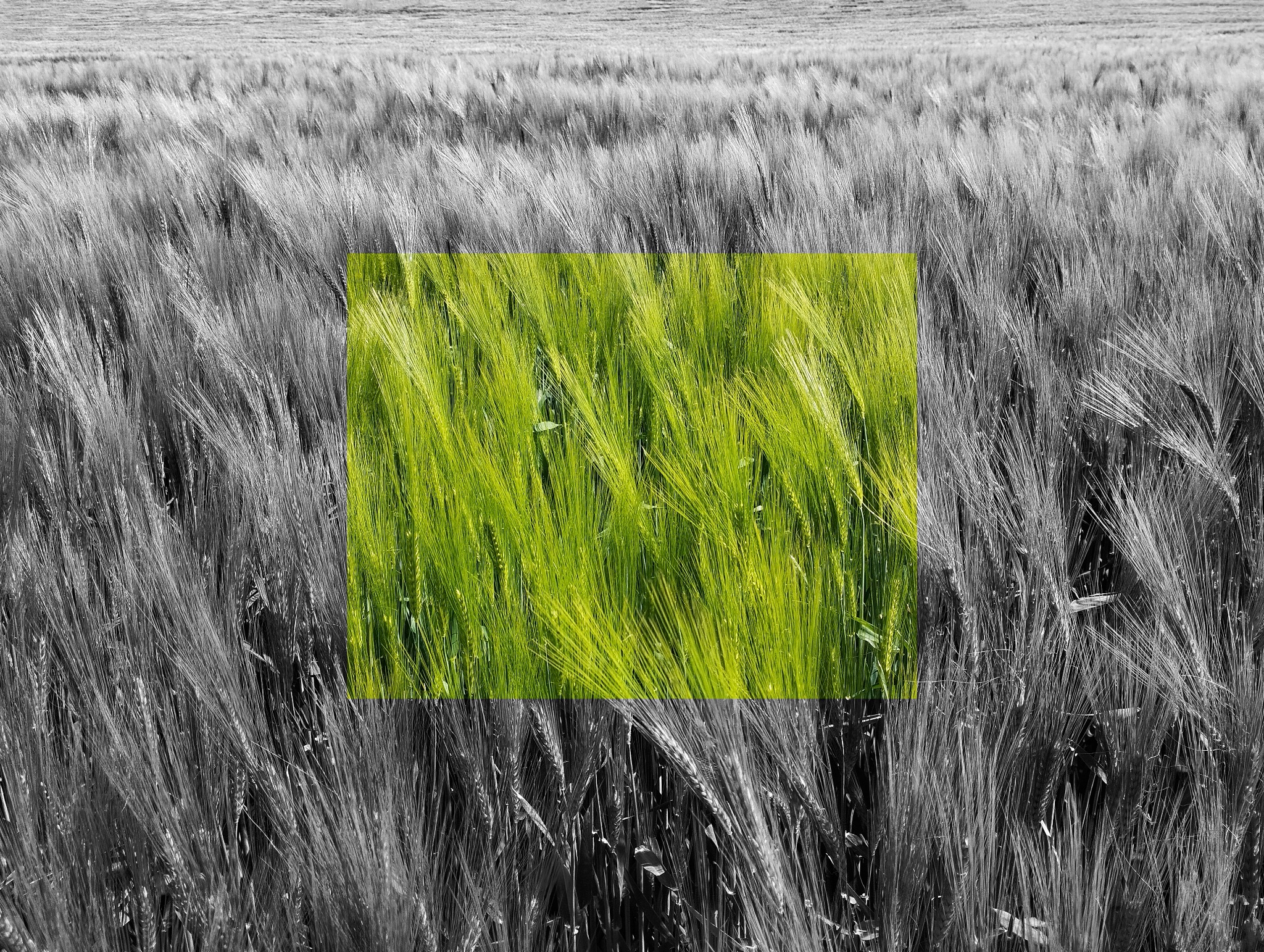 Ungewöhnliche Landschaften, 10